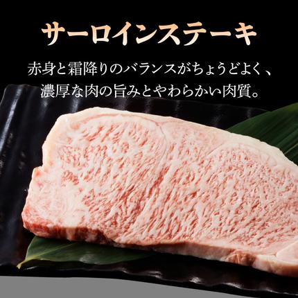 宮崎県延岡市のふるさと納税 宮崎牛 サーロインステーキ800g N0140-YC527