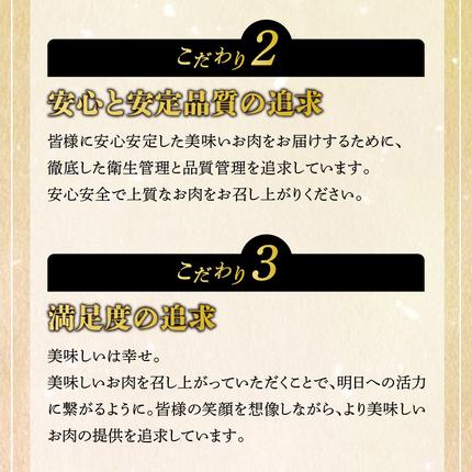 宮崎県延岡市のふるさと納税 宮崎牛 サーロインステーキ800g N0140-YC527