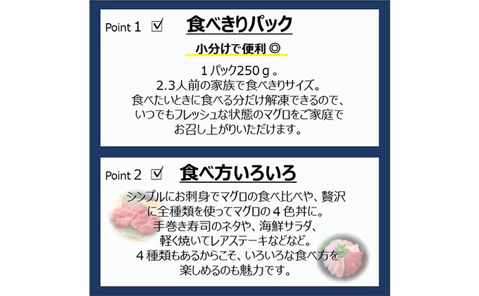 静岡県浜松市のふるさと納税 【3回定期便】天然まぐろ食べ比べ4種セット 合計1kg（バチマグロ切落し・びん長マグロ・ミナミマグロ・ネギトロ 250g×各１袋）×3回【配送不可：離島】 魚貝類 海の幸 海鮮 お酒のあて 厳選まぐろ もちもち