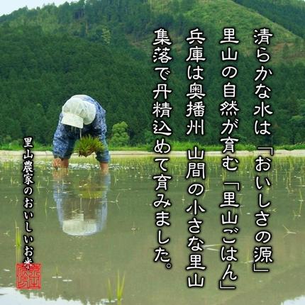 兵庫県加西市のふるさと納税 米 【令和7年産】 コシヒカリ 5kg精米 奥播州源流 芥田川産 芥田川 農家直送 5キロ 国産米 こしひかり  贈り物 喜ばれる お米ギフト おいしいお米 お祝い 内祝い 贈答 美味しい おいしい