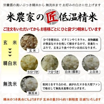兵庫県加西市のふるさと納税 米 【令和7年産】 コシヒカリ 5kg精米 奥播州源流 芥田川産 芥田川 農家直送 5キロ 国産米 こしひかり  贈り物 喜ばれる お米ギフト おいしいお米 お祝い 内祝い 贈答 美味しい おいしい