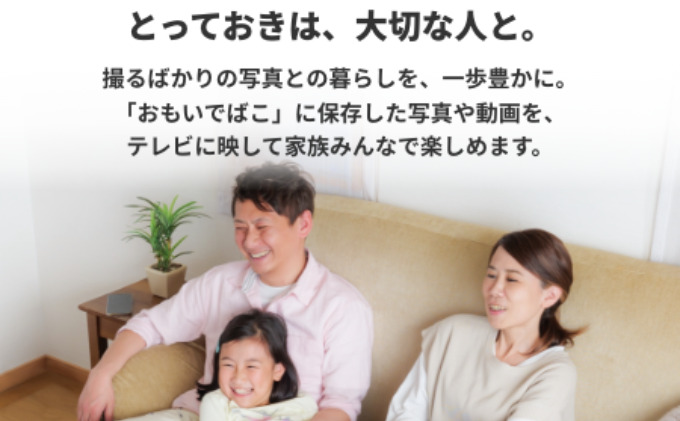 愛知県日進市のふるさと納税 BUFFALO おもいでばこ バックアップ セット 4TB 外付けHDD データ保存 家電