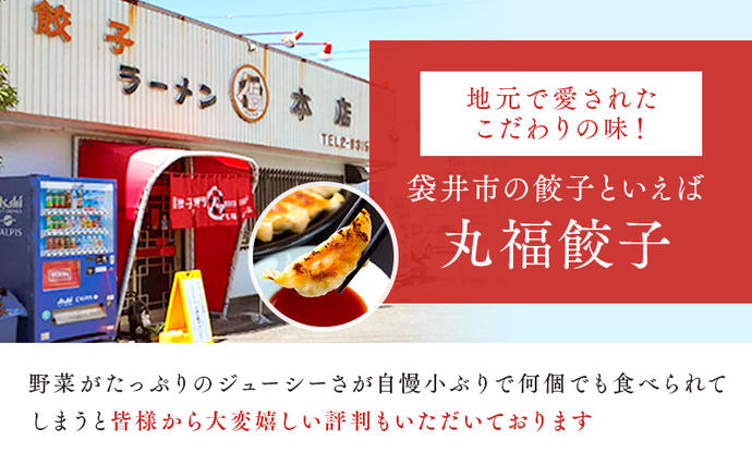 静岡県袋井市のふるさと納税 餃子 リピーター続出！ 遠州名物 丸福の餃子 タレ付き ぎょうざ ギョーザ ギョウザ 惣菜 おかず 中華 点心 加工食品 冷凍 静岡