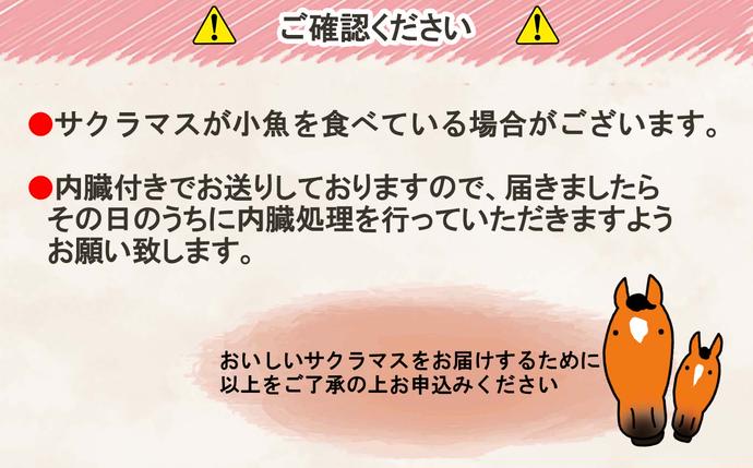 北海道新ひだか町のふるさと納税 ＜2026年5月から順次発送＞ 北海道産 サクラマス 2～2.5kg まるごと 1尾 ＜予約商品＞