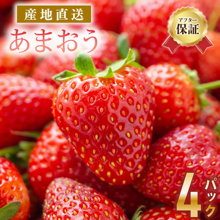 《先行予約》【アフター保証】いちご あまお