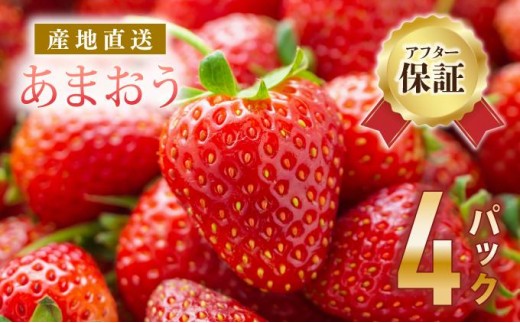 《先行予約》【アフター保証】いちご あまお