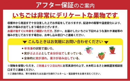 福岡県大木町のふるさと納税 《先行予約》【アフター保証】いちご あまおう 大木町 約250g×4パック 合計1000g 【2027年1月～3月に順次出荷予定】 CB223