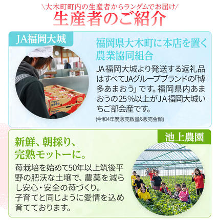 福岡県大木町のふるさと納税 《先行予約》【アフター保証】いちご あまおう 大木町 約270g×4パック 合計1080g 【2027年1月～3月に順次出荷予定】 CB223