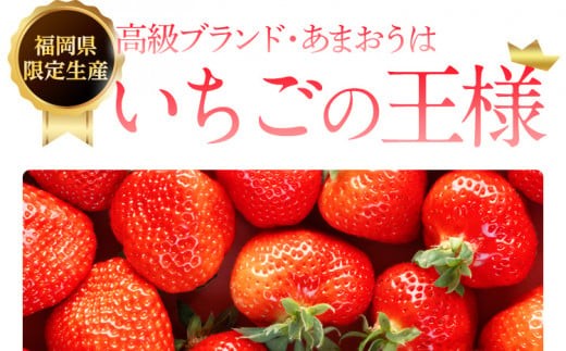 先行予約》【アフター保証】いちご あまおう 大木町 約250g×4パック