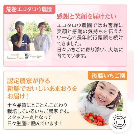 福岡県大木町のふるさと納税 《先行予約》【アフター保証】いちご あまおう 大木町 約270g×4パック 合計1080g 【2027年1月～3月に順次出荷予定】 CB223