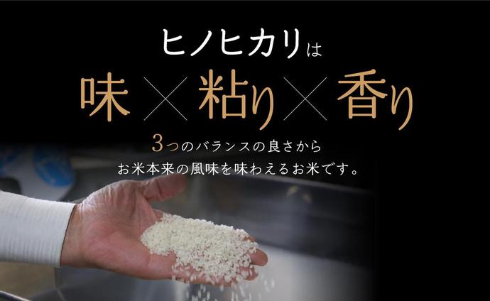 京都府木津川市のふるさと納税 京都府木津川市　お米　10kg　毎日の健康に（特別栽培米）