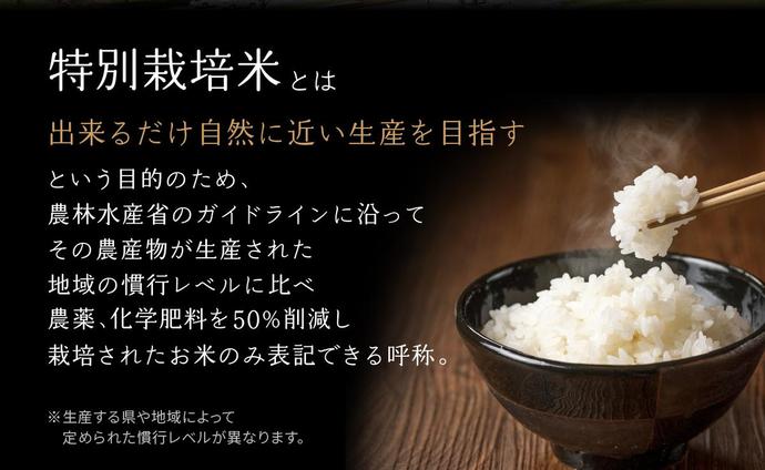 京都府木津川市のふるさと納税 京都府木津川市　お米　10kg　毎日の健康に（特別栽培米）