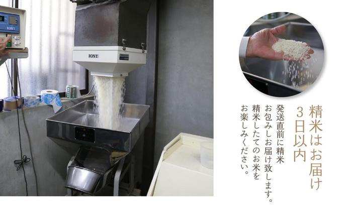京都府木津川市のふるさと納税 京都府木津川市　お米　10kg　毎日の健康に（特別栽培米）