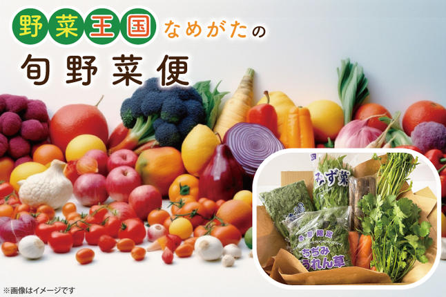 茨城県行方市のふるさと納税 CU-127　野菜王国なめがたの旬野菜便