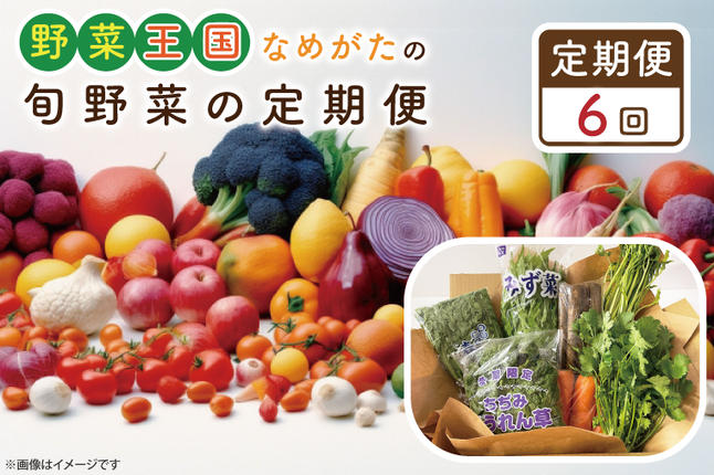 茨城県行方市のふるさと納税 CU-129　【6ヶ月定期便】野菜王国なめがたの旬野菜の定期便