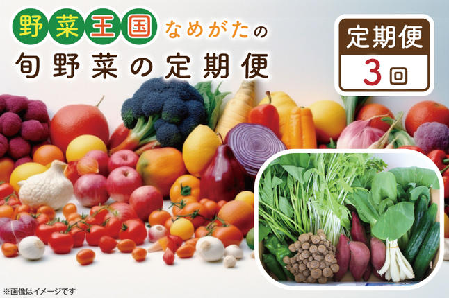 茨城県行方市のふるさと納税 CU-132　【3ヶ月定期便】野菜王国なめがたの旬野菜の定期便（さつまいも入り）