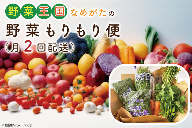 茨城県行方市のふるさと納税 CU-139　野菜王国なめがたの野菜もりもり便（月２回発送）