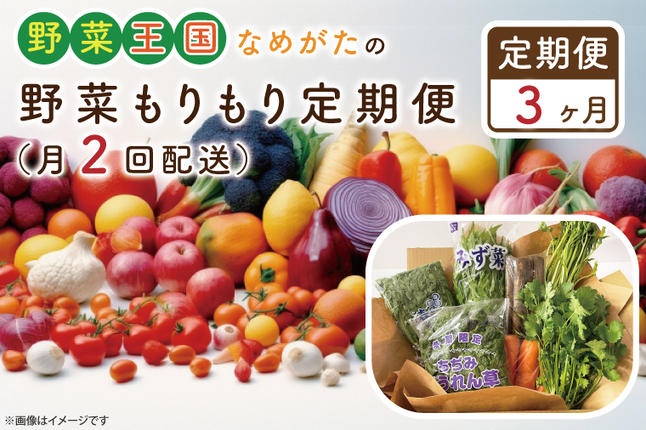 茨城県行方市のふるさと納税 CU-140　【3ヶ月定期便】野菜王国なめがたの野菜もりもり定期便（月２回発送）