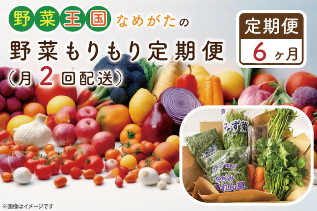 茨城県行方市のふるさと納税 CU-141　【6ヶ月定期便】野菜王国なめがたの野菜もりもり定期便（月２回発送）