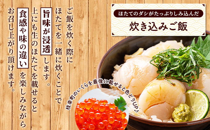 北海道枝幸町のふるさと納税 枝幸の四季 肉厚大玉ほたて冷凍貝柱1kg（2S～3Sサイズ：36～50粒）【枝幸ほたて】枝幸海産 【 冷凍 貝柱 刺身 大 魚介 海 帆立 年越し 贈答 贈り物 ギフト 魚貝類 北海道 オホーツク 枝幸 】