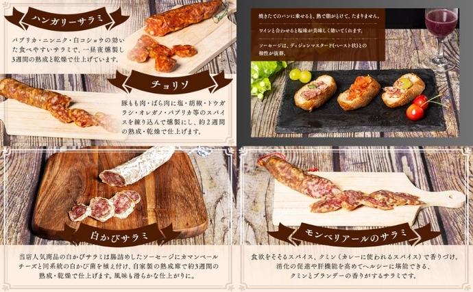 愛知県日進市のふるさと納税 サラミ 4種 セット ゴシック シャルキュトリー ソーセージ ウィンナー ウインナー 燻製 詰め合わせ ギフト 贈答 贈答品 肉 お肉 豚肉 豚 ポーク 熟成肉 加工食品 加工品 白カビ つまみ おつまみ 酒のつまみ 冷蔵 冷蔵配送 愛知 愛知県 日進市