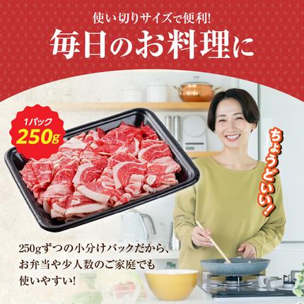 宮崎県都城市のふるさと納税 【黒毛和牛】切り落とし1.5kg(250g×6パック)≪みやこんじょ特急便≫_18-I901-Q