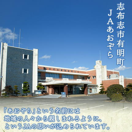鹿児島県志布志市のふるさと納税 熟し芋 計800g(80g×10袋)日本農業新聞一村逸品大賞を受賞した干し芋! a7-024