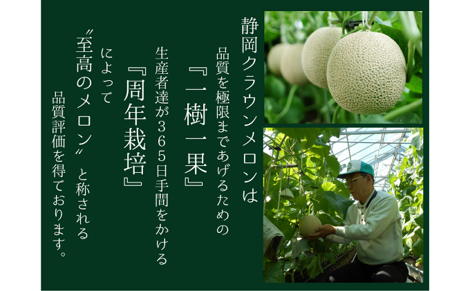 静岡県袋井市のふるさと納税 クラウンメロン（白上級）１玉入