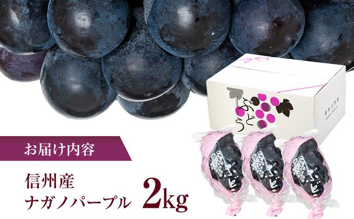 長野県箕輪町のふるさと納税 ぶどう ナガノパープル 2kg 葡萄 ブドウ 長野パープル 果物 くだもの フルーツ 旬の果物 旬のフルーツ 信州 長野 長野県