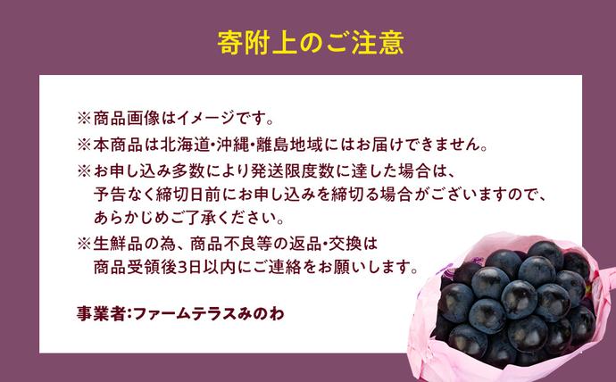 長野県箕輪町のふるさと納税 ぶどう ナガノパープル 2kg 葡萄 ブドウ 長野パープル 果物 くだもの フルーツ 旬の果物 旬のフルーツ 信州 長野 長野県