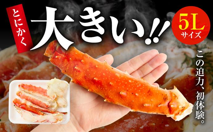 大阪府泉佐野市のふるさと納税 ボイルタラバガニ 1kg 特大 5Lサイズ カット済み【ボイル カニ かに 1kg 訳あり 部位 サイズ不揃い 蟹 たらば蟹 タラバ蟹 タラバカニ 海鮮 魚介】 kgp0001