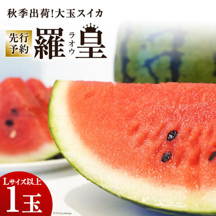 長崎県島原市のふるさと納税 CH053【令和8年度出荷分】秋季出荷！大玉スイカ～羅皇（ラオウ）～（Lサイズ6kg以上×1玉入）[先行予約 数量限定 すいか スイカ 西瓜 フルーツ 果物 長崎 長崎県 島原市]