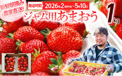 ジャム用あまおう1kg ※2026年2月中旬～5月10日頃にかけて順次出荷予定 BD08