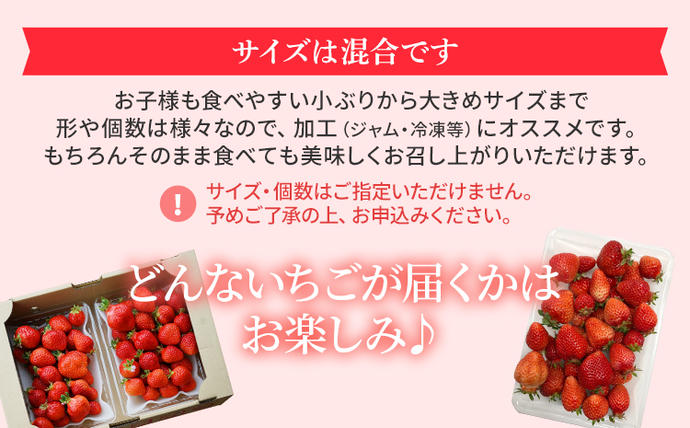 福岡県大木町のふるさと納税 ジャム用あまおう1kg ※2026年2月中旬～5月10日頃にかけて順次出荷予定 BD08