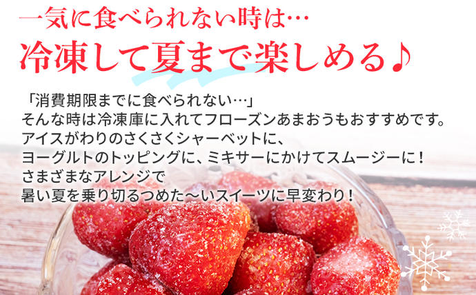 福岡県大木町のふるさと納税 ジャム用あまおう1kg ※2026年2月中旬～5月10日頃にかけて順次出荷予定 BD08