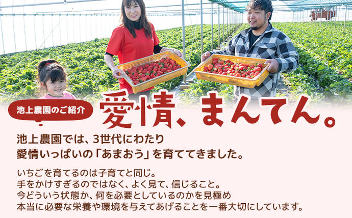 福岡県大木町のふるさと納税 ジャム用あまおう1kg ※2026年2月中旬～5月10日頃にかけて順次出荷予定 BD08