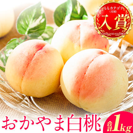 岡山県浅口市のふるさと納税 桃 おかやま白桃 1kg 3～5玉前後 もも 岡山県産 ご家庭用《2026年6月下旬-9月下旬頃出荷》