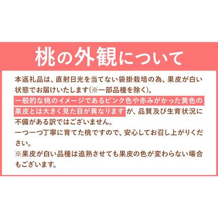 岡山県浅口市のふるさと納税 桃 おかやま白桃 1kg 3～5玉前後 もも 岡山県産 ご家庭用《2026年6月下旬-9月下旬頃出荷》