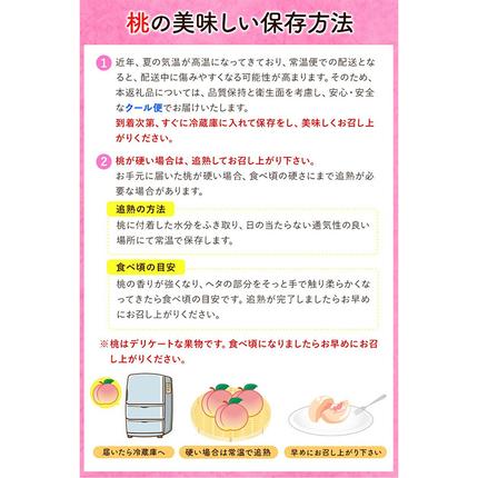 岡山県浅口市のふるさと納税 桃 おかやま白桃 1kg 3～5玉前後 もも 岡山県産 ご家庭用《2026年6月下旬-9月下旬頃出荷》