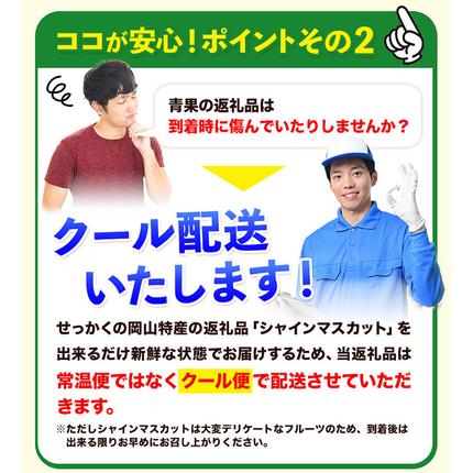 岡山県浅口市のふるさと納税 シャインマスカット ご家庭用 約 2kg 3～4房 ≪2026年9月上旬-11月上旬頃に出荷≫ 訳あり シャイン マスカット 岡山
