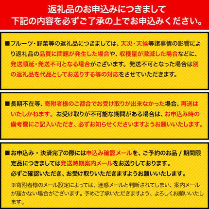 岡山県浅口市のふるさと納税 シャインマスカット ご家庭用 約 1.3kg 2房 ≪2026年9月上旬-11月上旬頃に出荷≫ 訳あり シャイン マスカット 岡山