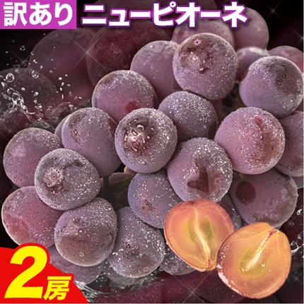 [先行予約]訳あり ニューピオーネ 約1.2kg 2房 葡萄 果物 秋旬 訳あり 優品 厳選出荷 スイーツ フルーツ デザート 岡山県 浅口市[8月下旬-10月中旬頃出荷]
