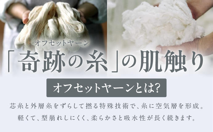 大阪府泉佐野市のふるさと納税 【TVで紹介！】おぅ！え～やん バスタオル（グレー）2枚【泉州タオル 国産 吸水 普段使い 無地 シンプル 日用品 家族 ファミリー】 099H4238