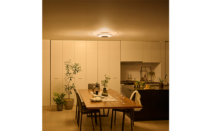 宮城県大河原町のふるさと納税 シーリングライト LED 照明 パネルライト 12畳 CEA-A12DLPW アイリスオーヤマ 照明器具 天井照明 節電 省エネ リビング 寝室 和室 ダイニング キッチン 台所