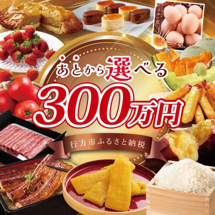 茨城県行方市のふるさと納税 ★あとから選べる★茨城県行方市ふるさとギフト 寄附額：300万円分｜あとから選べる 後から選べる 選べる ギフト 肉 お肉 米 お米 コシヒカリ ミルキークイーン さつまいも サツマイモ 芋 お芋 うなぎ 干し芋 紅はるか スイーツ カタログ 300万円 茨城県 行方市 人気(CU-104)