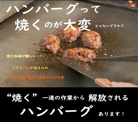 兵庫県稲美町のふるさと納税 ハンバーグ 4種10個 神戸牛 入り プレミアムハンバーグ 食べ比べ セット