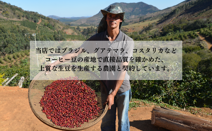 ブラジル珈琲鑑定士おすすめ！ 自家焙煎珈琲 贅沢 プレミアムセット
