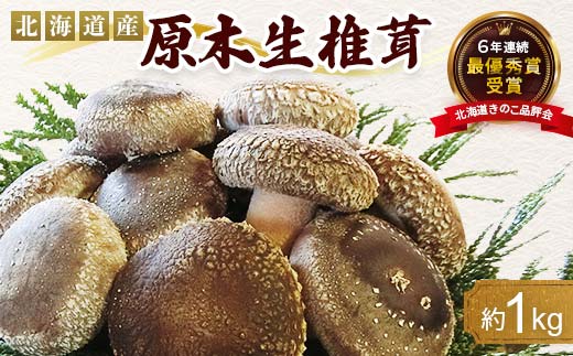 【先行予約】原木栽培 生椎茸 約1kg 里