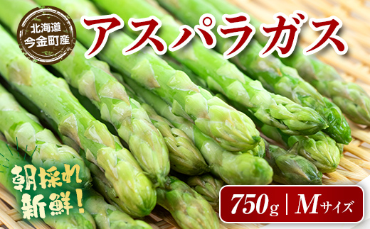 北海道今金町のふるさと納税 【先行予約】朝採れ新鮮アスパラ 750g（Mサイズ） (2026年3月下旬～6月中旬または2026年7月上旬～9月上旬頃発送)  野菜 秀品 北海道産 バーベキュー BBQ キャンプ 旬野菜 アスパラガス 栄養満点 冷蔵発送 F21W-457