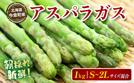 【先行予約】【訳あり】朝採れ新鮮アスパラ 